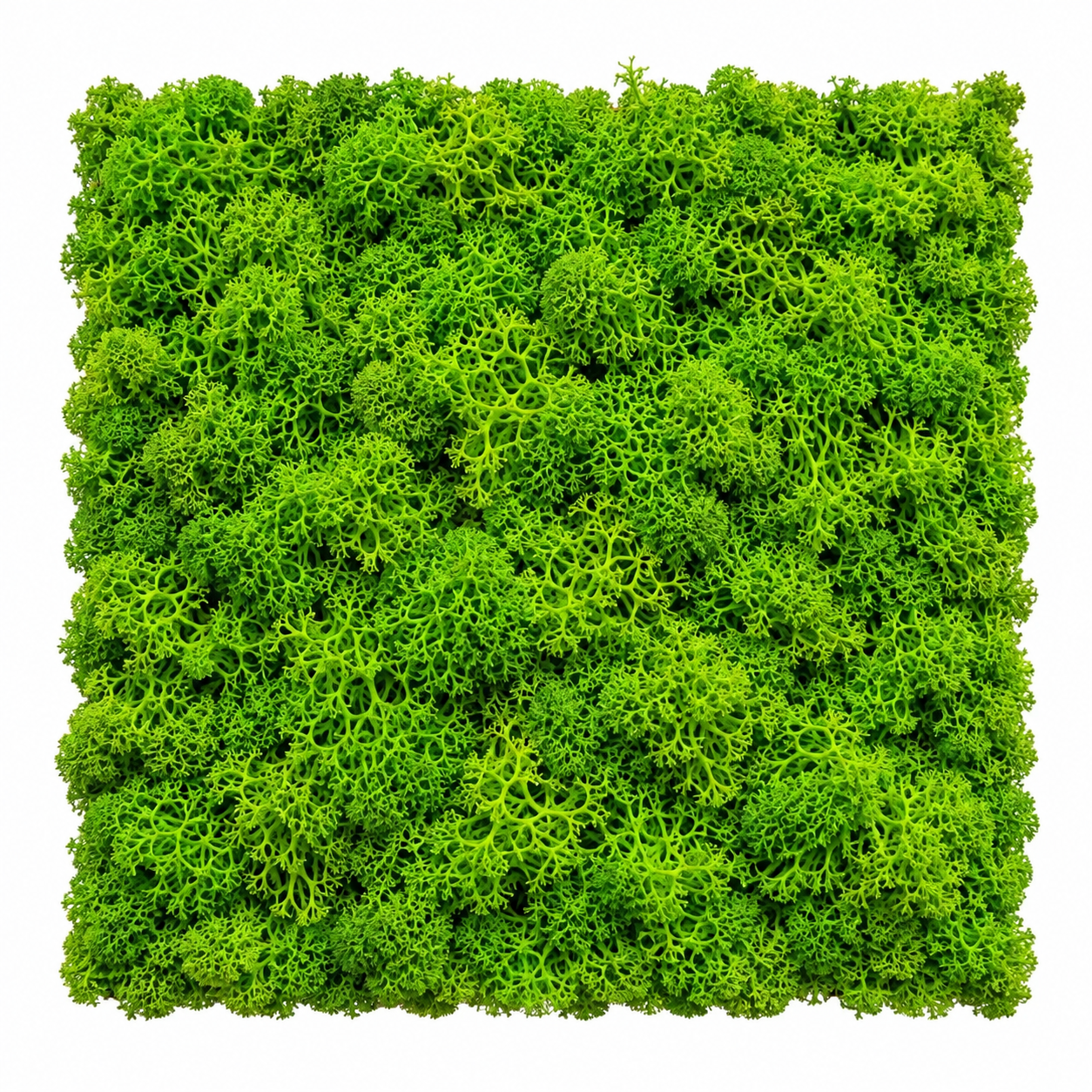 Moss natural square preserved moss wall panel