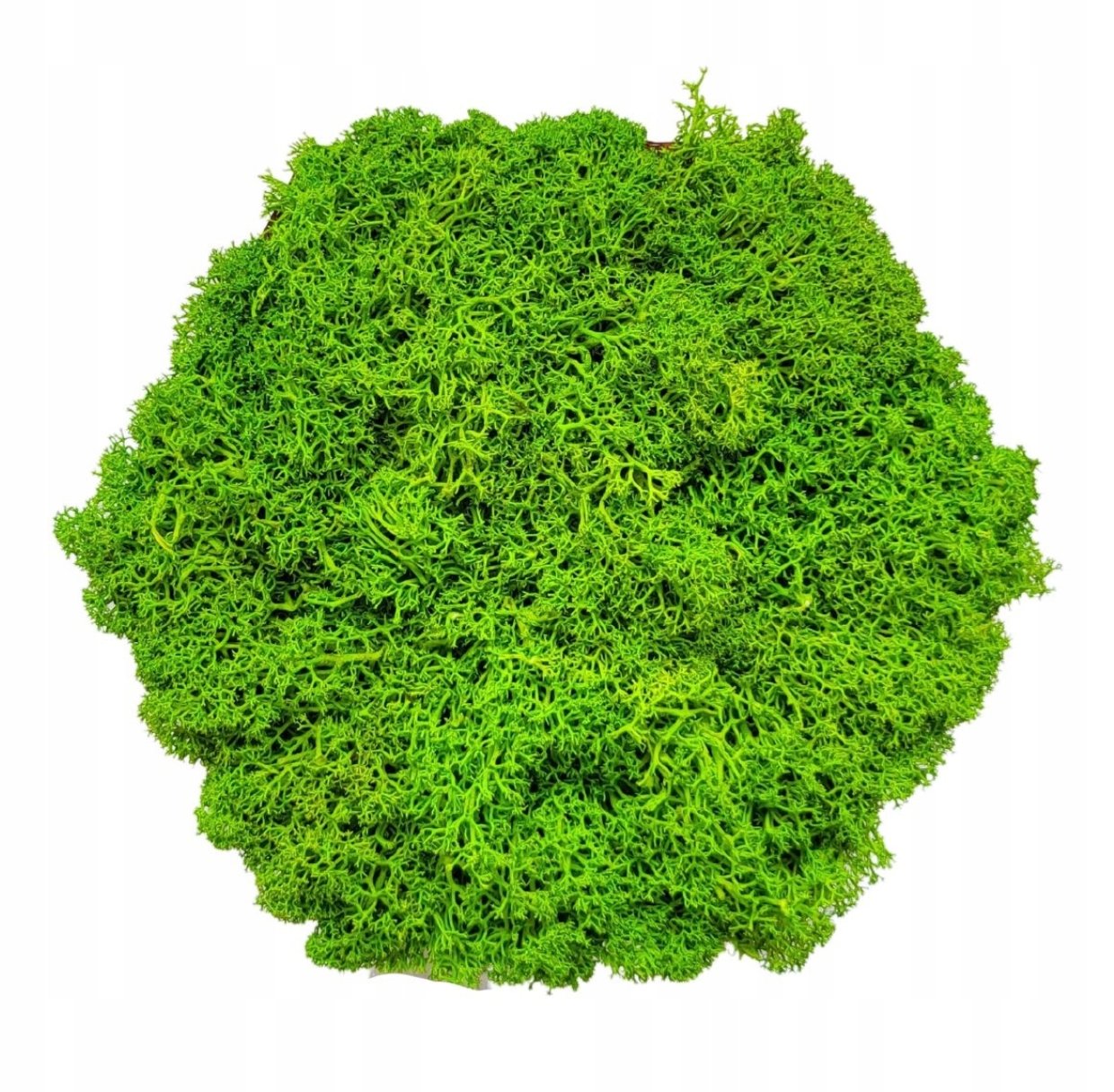 Moss natural Hexagon